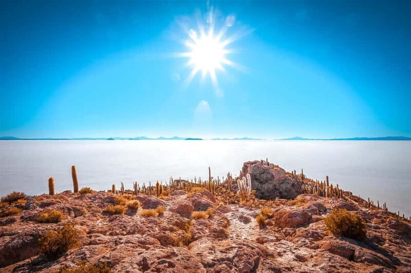 From Uyuni: Full-Day Guided Trip to Salar de Uyuni - Who Should Book This Tour?