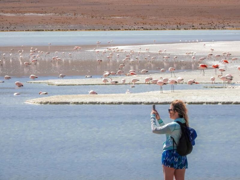 From Uyuni: Red Lagoon & Uyuni Salt Flats 3-Day Guided Tour - What’s Included and What’s Not