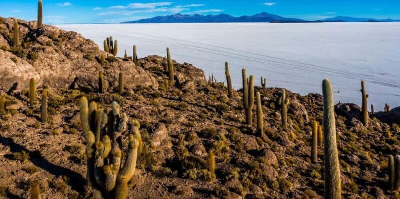 From Uyuni: Uyuni Salt Flats and Sunset Full-Day Tour - The Itinerary: What to Expect on This Full-Day Adventure
