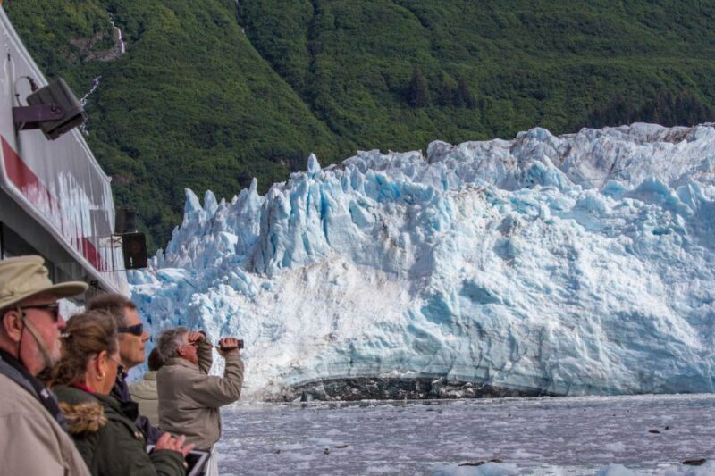 From Valdez: 7.5-hour Meares Glacier & Wildlife Cruise - Who Should Consider This Tour?