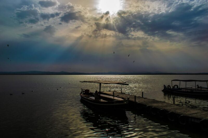 From Valencia: Albufera Boat Ride & Food (Paella) Included - An In-Depth Look at the Valencia-Albufera Experience