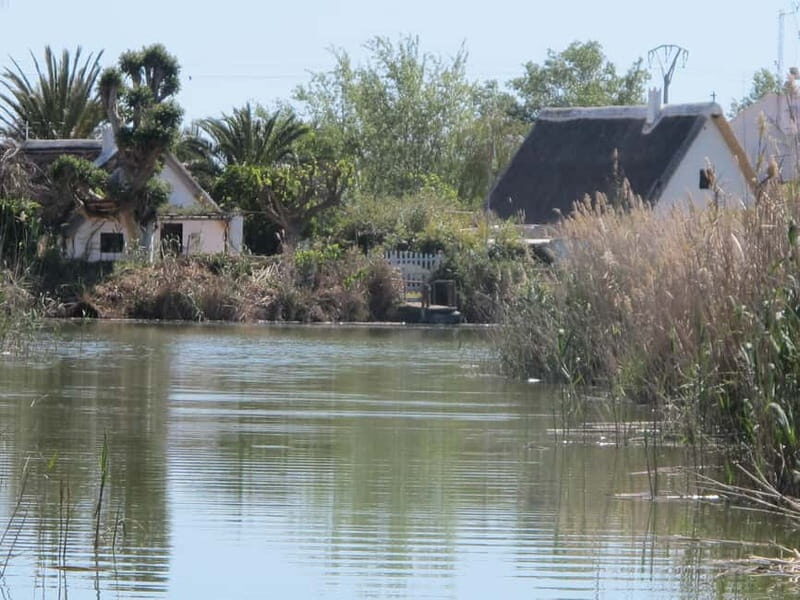 From Valencia: Albufera Natural Park Bus, Cruise and Lunch - An In-Depth Look at the Albufera Tour