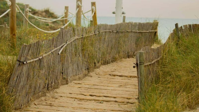 From Valencia: Albufera Natural Park Eco Boat Tour & Sunset - What the Reviews Say