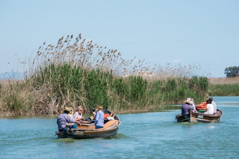 From Valencia: Albufera Private Tour, Paella & Boat Ride - Lunch: Authentic Paella with a View
