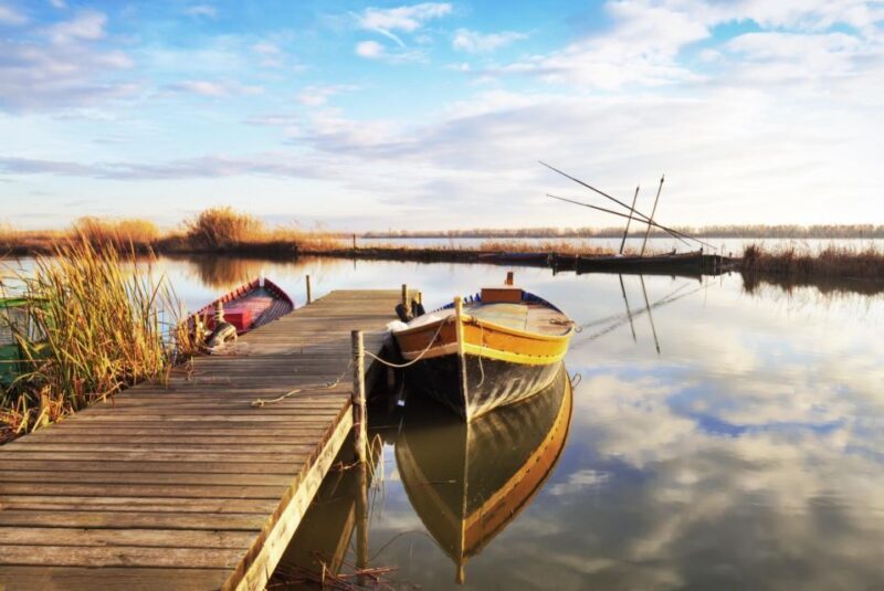 From Valencia: Albufera Private Tour, Paella & Boat Ride - Transportation and Group Size