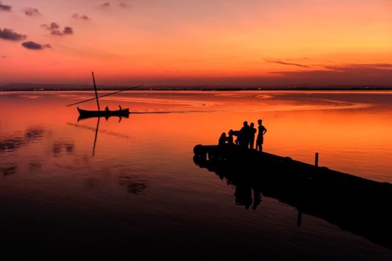 From Valencia: Albufera Private Tour, Paella & Boat Ride - The Itinerary in Depth