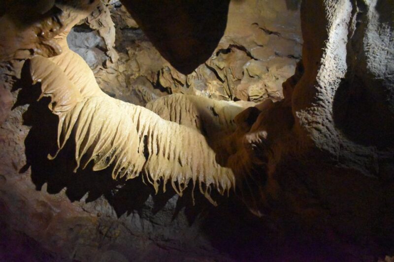 From Valencia: Caves of San José Guided Excursion and Ticket - An In-Depth Look at the Caves of San José Tour