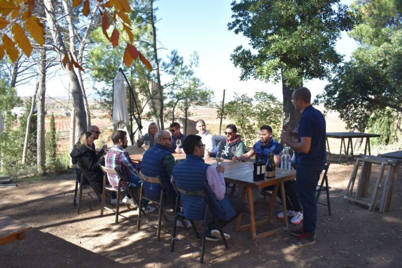 From Valencia: Guided Cheese Factory Tour with Wine Tasting - A Deep Dive into the Cheese and Wine Tour