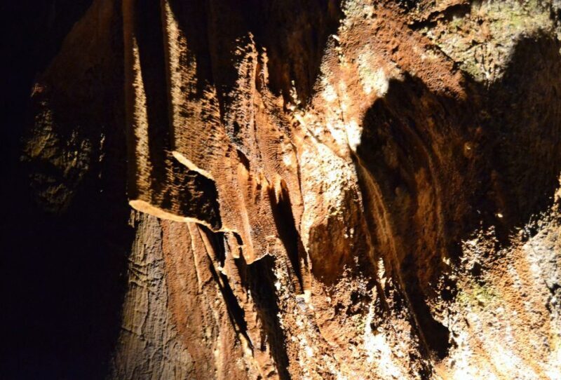 From Valencia: Private Half Day-Trip to Cuevas de San José - Key Points