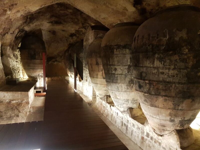 From Valencia: Utiel-Requena Wine Tour and Traditional Lunch - Exploring Valencia’s Utiel-Requena Wine Region in Depth