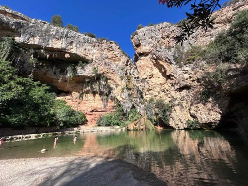 From Valencia: Wine Tasting + Nature exploration - Practical Details and What to Consider