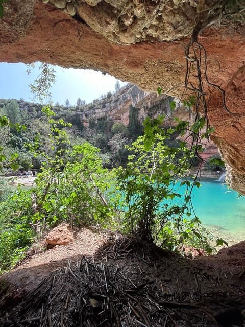 From Valencia: Wine Tasting + Nature exploration - Who Will Enjoy This Tour?