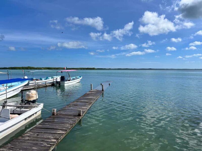 From Valladolid: Flamingo Tour, Rio Lagartos, Las Coloradas, Cenote + Lunch - Who Is This Tour Best For?