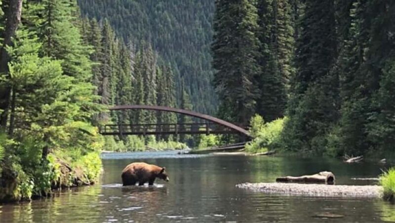From Vancouver: 3-Day Tour to Manning Park, Nelson & Osoyoos - Final Thoughts: Is It Worth It?