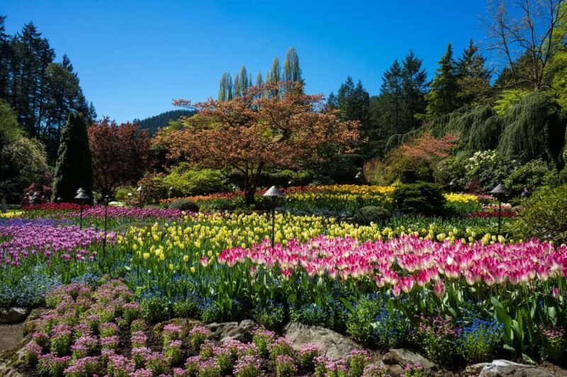 From Vancouver: Butchart Gardens & Victoria Sightseeing Tour - FAQ