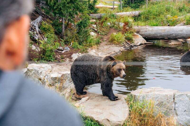 From Vancouver: Capilano Suspension Bridge & Grouse Mountain - The Itinerary in Detail