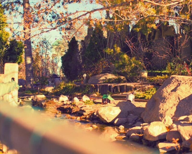 From Vancouver: Professional Photoshoot & Tour - From Vancouver: Professional Photoshoot & Tour — A Detailed Review