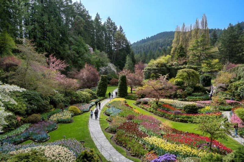 From Vancouver: Victoria & Butchart Gardens Tour with Cruise - Key Points