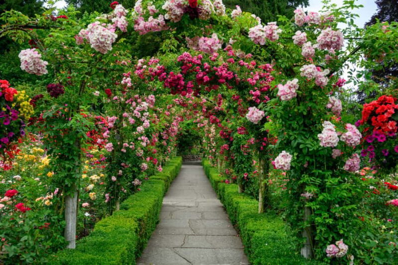 From Vancouver: Victoria & Butchart Gardens Tour with Cruise - Botanical Bliss at Butchart Gardens