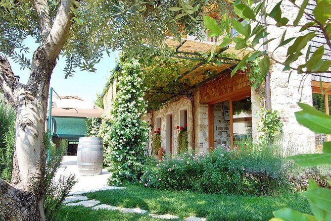 From Venice : Wine and Food tour in the Prosecco Hills - The Itinerary: Breaking Down the Day
