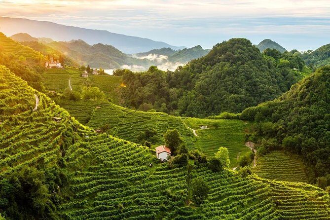 From Venice : Wine and Food tour in the Prosecco Hills - The Sum Up