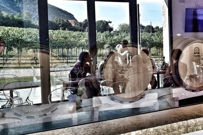 From Venice: Wine Tour in the Euganean Hills - Key Points
