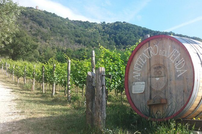 From Venice: Wine Tour in the Euganean Hills - FAQ