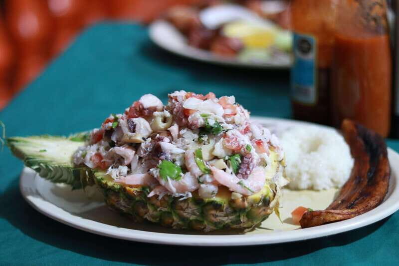 From Veracruz: Nature & Seafood Boat Tour to Madinga - Discovering Veracruz’s Coastal Charm: A Guided Tour to Mandinga