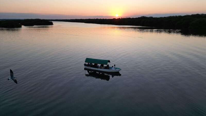 From Veracruz: Nature & Seafood Boat Tour to Madinga - Key Points