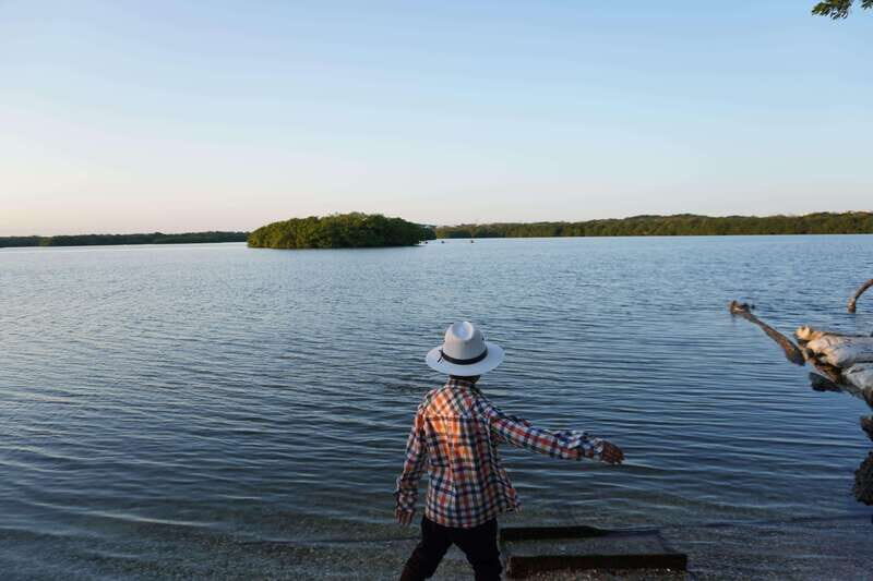 From Veracruz: Nature & Seafood Boat Tour to Madinga - Who Will Love This Tour?