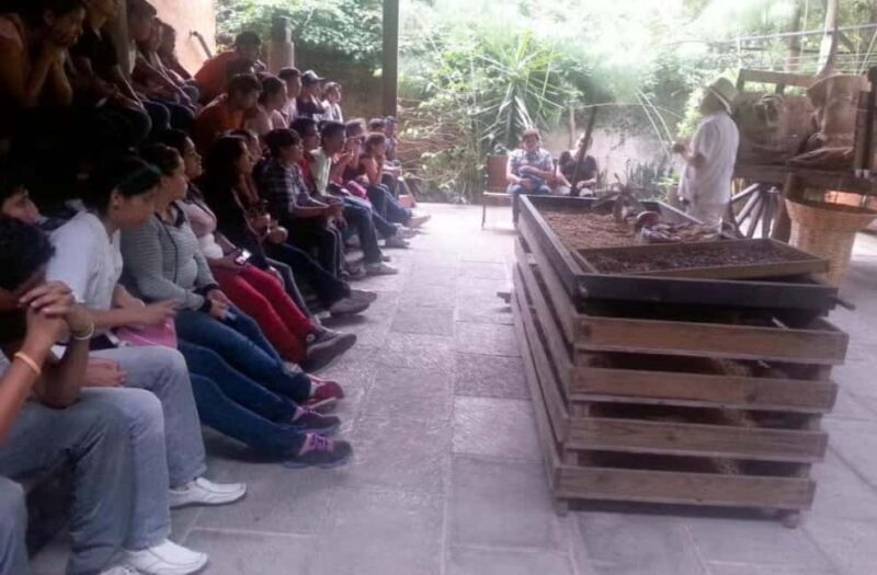 From Veracruz: Xalapa & Coatepec Day Trip - From Veracruz: Xalapa & Coatepec Day Trip – A Practical Guide to Authentic Experiences