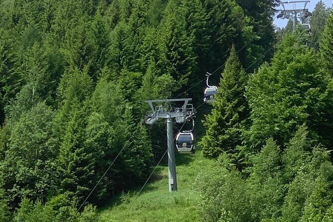 From Verona area: Private day trip to the Dolomites - Who Will Love This Tour