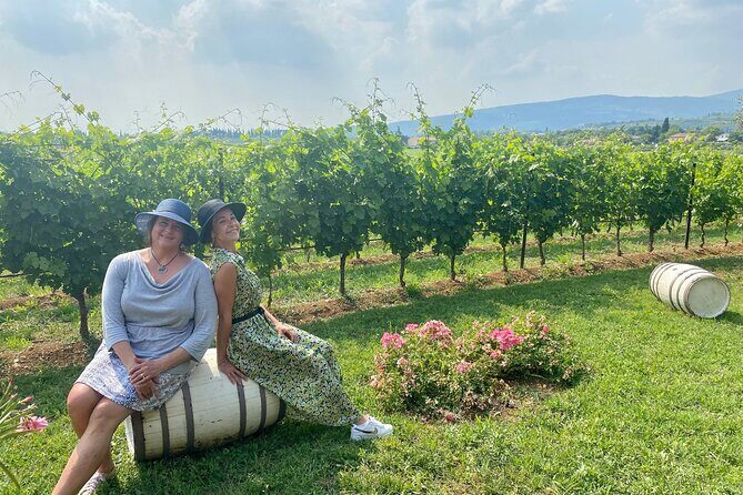From Verona: private trip to Sirmione Lake Garda & Valpolicella Wine Region - Who Should Consider This Tour?