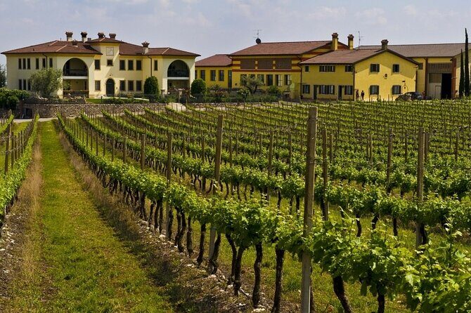 From Verona: private trip to Sirmione Lake Garda & Valpolicella Wine Region - FAQs