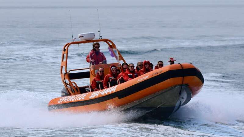 From Victoria: Whale Watching Tour by Zodiac Boat - Practicalities and Tips