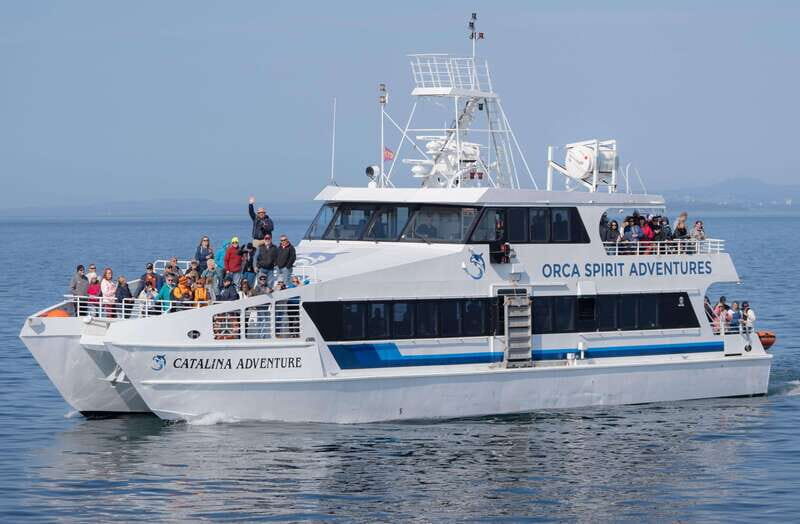 From Victoria: Whale Watching Trip on Covered Boat - Key Points