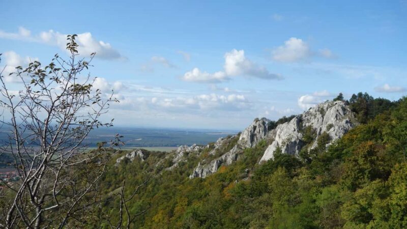 From Vienna: Bratislava & Countryside Guided Half Day Tour - A Deep Dive into the Experience