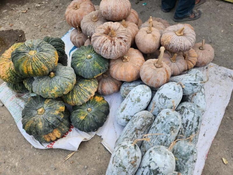 From Vientiane: Plain of Jars Tour & Homestay - Key Points