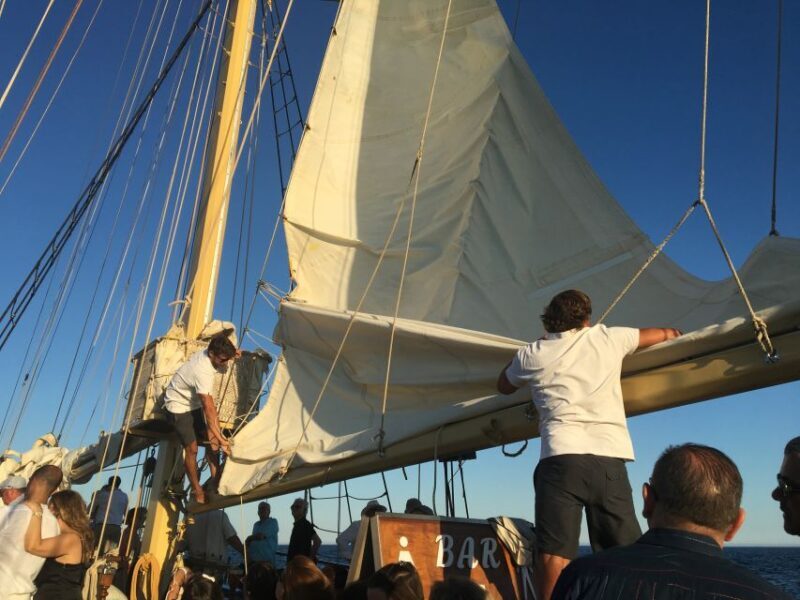 From Vilamoura: Algarve Coast 3-Hour Sailing Cruise - A Complete Guide to the Algarve Coast Sailing Cruise