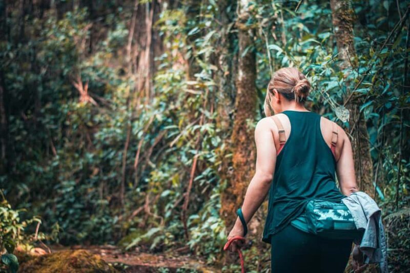 From Villa de Leyva: La Periquera Hiking Tour - Who Should Book This Tour?