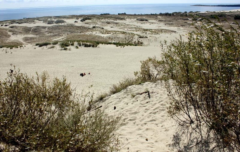 From Vilnius: Day Trip to Curonian Spit National Park - Key Points