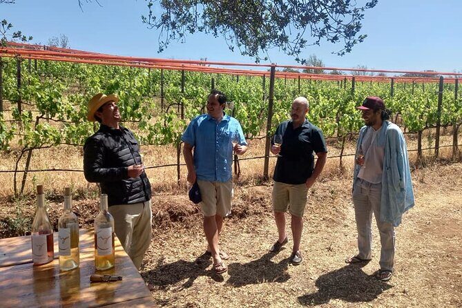 From Vine to Glass in Bajas Beautiful Valleys - Key Points