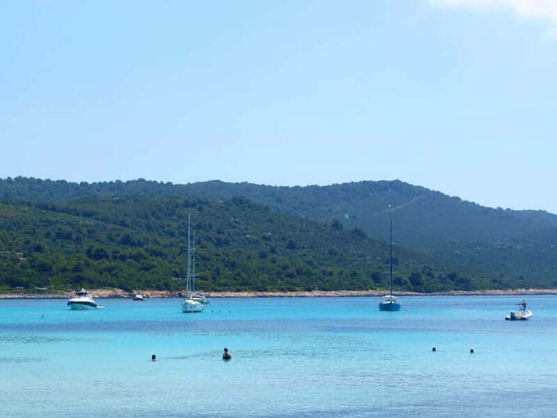 From Vir: Full-Day Guided Trip to Sakarun Beach - Key Points