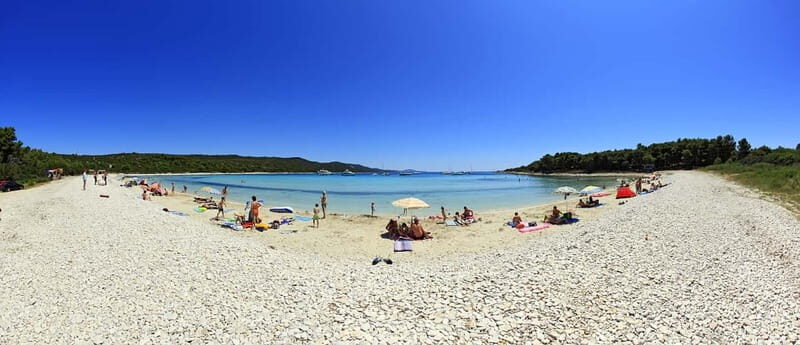 From Vir: Full-Day Guided Trip to Sakarun Beach - The Value and Considerations