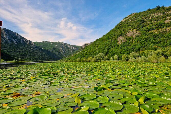 From Virpazar: Visit Karu, the hidden pearl of Lake Skadar - A Detailed Look at the Lake Skadar Boat Tour
