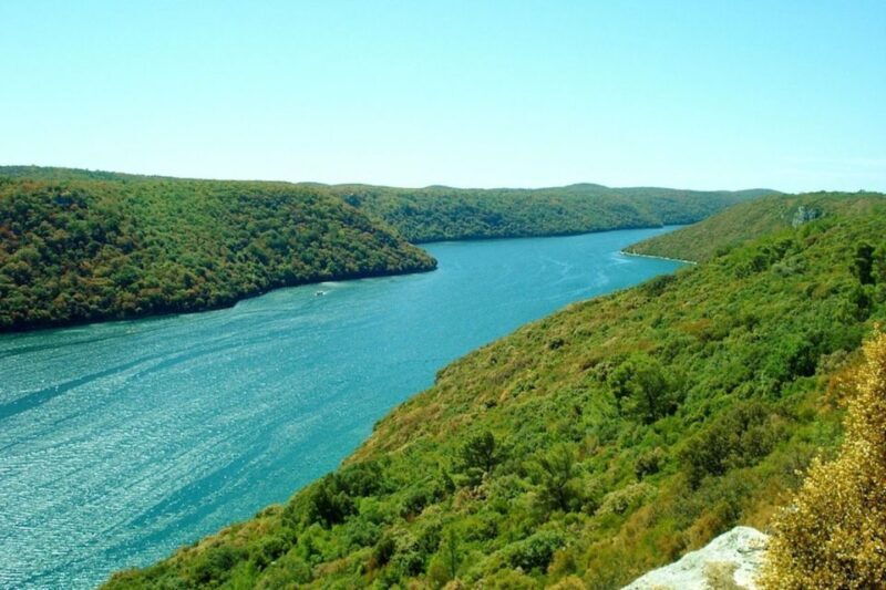 From Vrsar: Lim Bay, Pirate Cave and Rovinj Visit - Return Journey and Swimming Stops