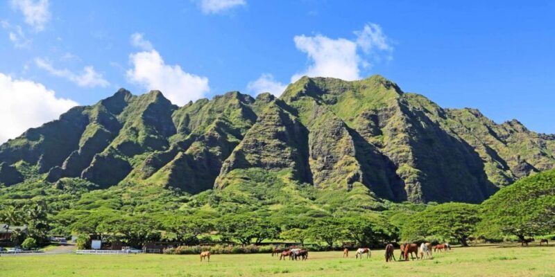 From Waikiki: Circle Island Tour - The Nuts and Bolts of the Oahu Circle Island Tour