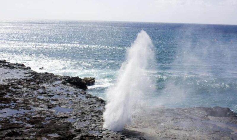 From Waikiki: Oahu Scenic Half-Day Circle Island Tour - Why This Tour Offers Great Value