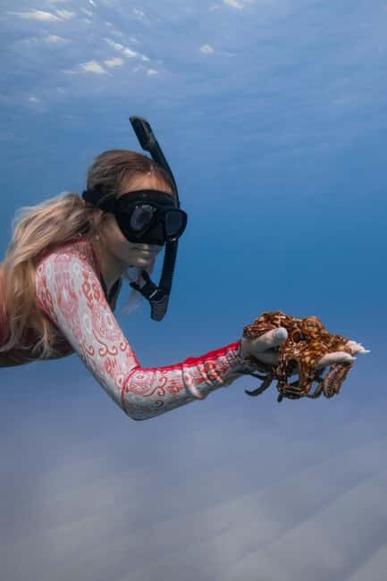 From Waikiki: Turtle Canyon Snorkeling Tour - The Sum Up