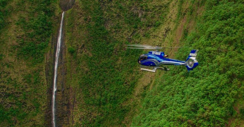 From Waikoloa: Kohala Coast Helicopter Adventure - Why the Eco-Star Helicopter Matters